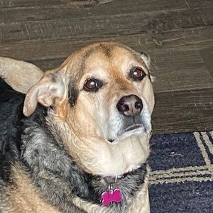 Meet your Posher, Brad